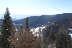 Príroda v okolí apartmánu
