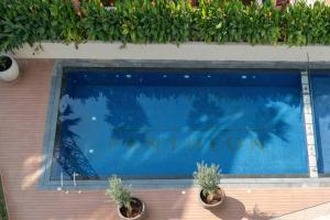 a swimming pool with two potted plants next to it at Nice and cozy Studio Elysée 2 in JVC - Dubai in Dubai