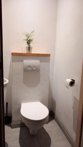 a bathroom with a toilet with a plant on top of it at R&N Sea Breeze in Blankenberge