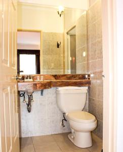 W łazience znajduje się toaleta, umywalka i lustro. w obiekcie Real de la Presa w mieście Guanajuato