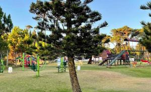 un pino en un parque con parque infantil en Complejo Linchol Center, Torre Madison, en Punta del Este