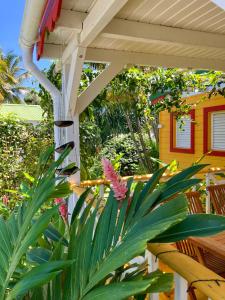 une terrasse couverte avec une pergola et une plante dans l'établissement Gîte Zandoli Koko, à Sainte-Anne