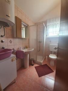 ein Bad mit einem Waschbecken, einem WC und einer Dusche in der Unterkunft Apartments with a parking space Valbandon, Fazana - 15386 in Fažana