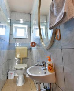 un piccolo bagno con un water e un lavandino di Apartments with parking space Rakovica, Plitvice - 20595 a Rakovica Altre 6 foto
