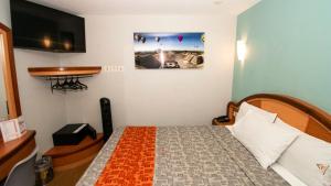 1 dormitorio con 1 cama en una habitación en Hotel El Conde Naucalpan Only Adults en Ciudad de México