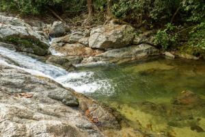 Mynd úr myndasafni af Deep Forest Posadas Ecoturisticas í El Zaino