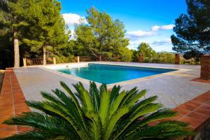 une piscine avec un palmier en face de celle-ci dans l'établissement Aliga Villa, à Alcover