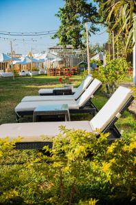 un gruppo di sedie a sdraio e tavoli nell'erba di Spilberg Resort a Paita
