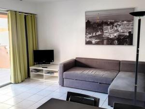 sala de estar con sofá y TV en Appartement Bormes-les-Mimosas, 2 pièces, 5 personnes - FR-1-610-74, en Bormes-les-Mimosas