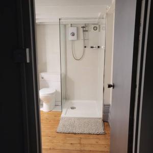 uma casa de banho com um chuveiro e um WC. em 5 Luxury Spacious Loft - Prime Location - Comfortable Bed & Sofa em Brighton & Hove