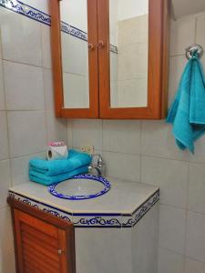 Catia La Mar的住宿－BELLA SUITE frente al Aeropuerto，浴室的柜台设有水槽和镜子