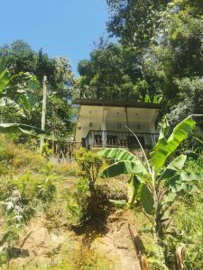 Jardí fora de Bella Ella