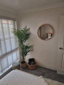 a bedroom with a potted plant and a mirror at AMAROO -Queen bed - Lounge - Kitchen - Bathroom - Quinns Rocks in Quinns Rocks