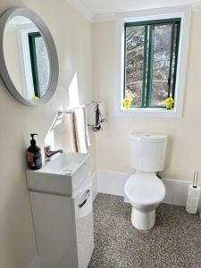 a bathroom with a toilet and a sink and a mirror at CandE’s Guesthouse in Kingscote