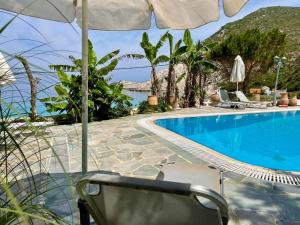 Πισίνα στο ή κοντά στο Petani Beach Suites +35 φωτογραφίες
