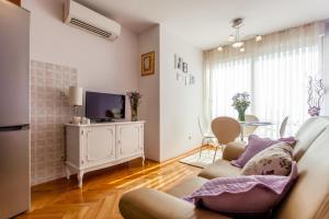 Μια τηλεόραση ή/και κέντρο ψυχαγωγίας στο Apartment Skocibusic