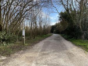 polna droga z drzewami na boku w obiekcie Maison calme avec terrasse à Saint-Denis-d'Oléron - 5 pers, proche plage et piste cyclable - FR-1-246A-205 w mieście Saint-Denis-dʼOléron +6 zdjęć