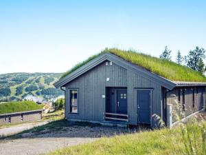 a green roofed building with a grassy roof at 10 person holiday home in F vang in Favang