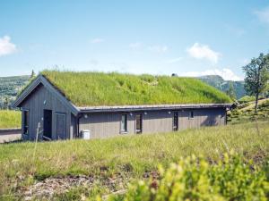 a house with a grass roof on top of a field at 10 person holiday home in F vang in Favang