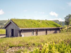 a house with a grass roof on top of it at 10 person holiday home in F vang in Favang