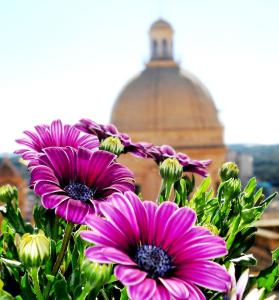 Une bande de fleurs violettes devant un bâtiment dans l'établissement Ostello della Gioventù - Il Castello, à Noto