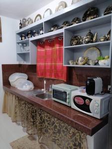 cocina con encimera, microondas y fregadero en Melinda’s Private Resort, en Tarlac