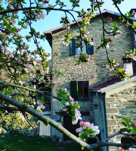 una vieja casa de piedra con flores rosas delante de ella en B&B Luna e Stelle, en Premilcuore
