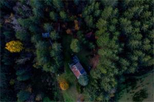 an overhead view of a house in the middle of a forest at Dimora Pietre Verdi in Cosentino