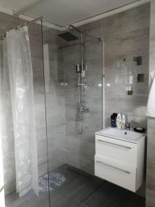bagno con doccia, lavandino e servizi igienici di Horvath apartman a Keszthely