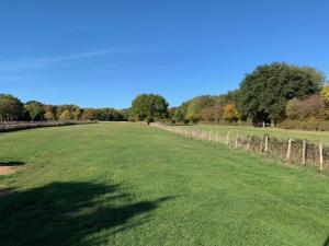 a large green field with a fence and trees at Little Buttercup Cottage in Brackley