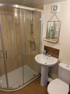 a bathroom with a shower and a sink and a toilet at Little Buttercup Cottage in Brackley