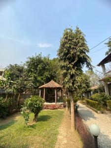 Imagine din galeria proprietății Annapurna View Lodge în Chitwan