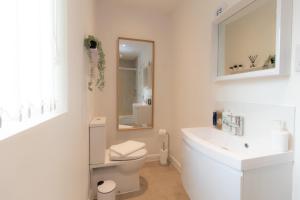 bagno con servizi igienici, lavandino e specchio di Crescent House Apartments a Telford