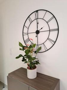 a clock on a wall with a plant on a table at Le Colisée du Plessis-parking gratuit in Le Plessis-Robinson