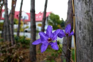 Zahrada ubytování Hotel Zabawa