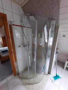 una ducha con puertas de cristal en una habitación en Haus am Scharpenmoor en Norderstedt