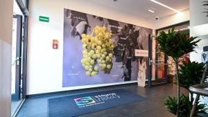 a wall with a bunch of grapes on it at sHome Hotel Graz - Self-Check-in in Graz