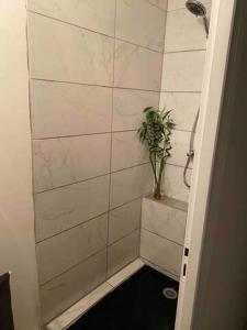 ein Bad mit einer Dusche mit einer Pflanze in der Unterkunft studio cosy 40m2 in Warlus