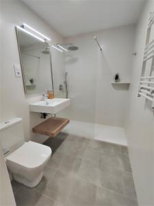 La salle de bains est pourvue de toilettes, d'un lavabo et d'une douche. dans l'établissement Apartamento luminoso Papa Luna Playa, à Peñíscola