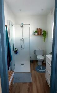 ein Bad mit einer Dusche und einem WC in der Unterkunft Casa Blue Port Banyuls Empuriabrava in Empuriabrava