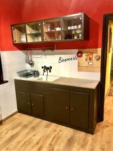 a kitchen with a sink and a counter top at Accogliente appartamento in centro in Frabosa Soprana