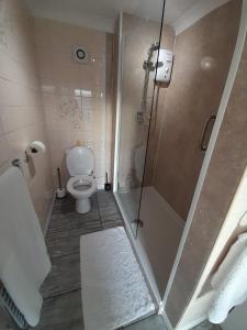 a bathroom with a shower with a toilet and a sink at riverside rooms at wheelgate house in Goole