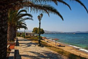 a beach with palm trees and a street light at The White House Beach Villa in Rafina