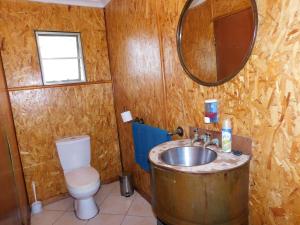 a bathroom with a sink and a toilet and a mirror at Tsumkwe Country Lodge in Tsumkwe +65 photos