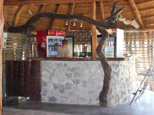 a man standing at a bar with a tree in a room at Tsumkwe Country Lodge in Tsumkwe