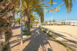 una palmera en una acera junto a una playa en Virgilio - Con servizio spiaggia - Narramondo Villas, en Tortoreto Lido
