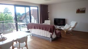 ein Wohnzimmer mit einem Balkon mit einem Sofa und einem TV in der Unterkunft Apartments A + L in Rumburk