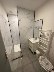 La salle de bains est pourvue de toilettes, d'un lavabo et d'une douche. dans l'établissement Appartement meublé proche du futuroscope, à Poitiers