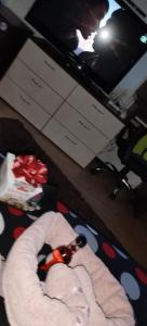 Fotografie z fotogalerie ubytování Simo&Dani v destinaci Temešvár