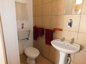 a bathroom with a toilet and a sink at Tsumkwe Country Lodge in Tsumkwe